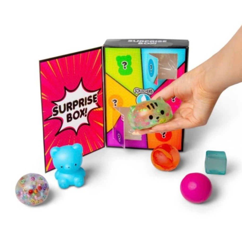 Scrunchems Surprise Box