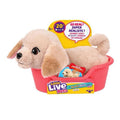 Little Live Pets - My Really Real Puppy Mini
