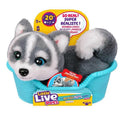 Little Live Pets - My Really Real Puppy Mini