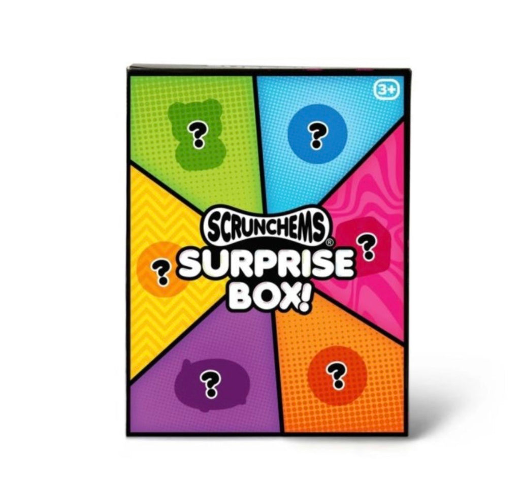Scrunchems Surprise Box