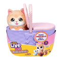 Little Live Pets Mama Surprise Kittens
