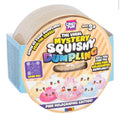 RMS Crazy Fun Original Pink Holographic Mystery Squishy Dumpling (Styles Vary)